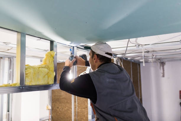Best DIY Insulation Kits and Guidance in Barbourmeade, KY
