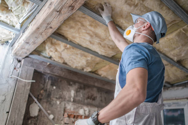 Best Cellulose Insulation in Barbourmeade, KY