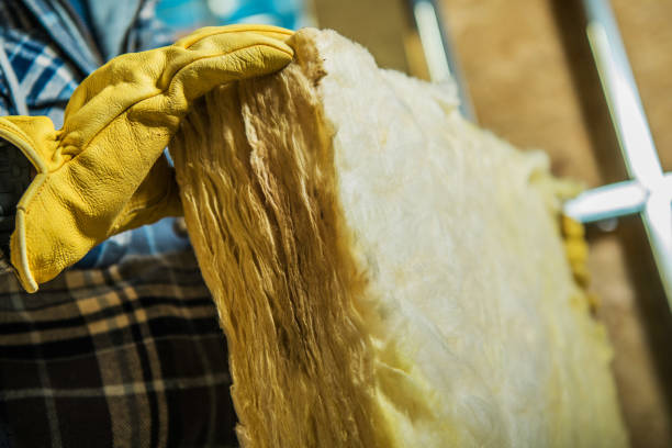 Best Geographic-Specific Insulation Services in Barbourmeade, KY